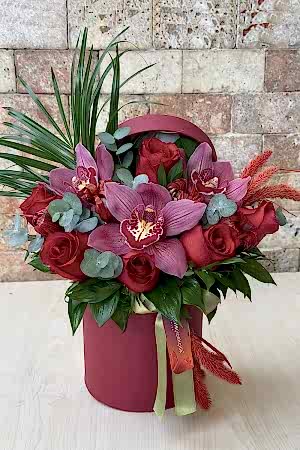 My Dear Darling Series 36